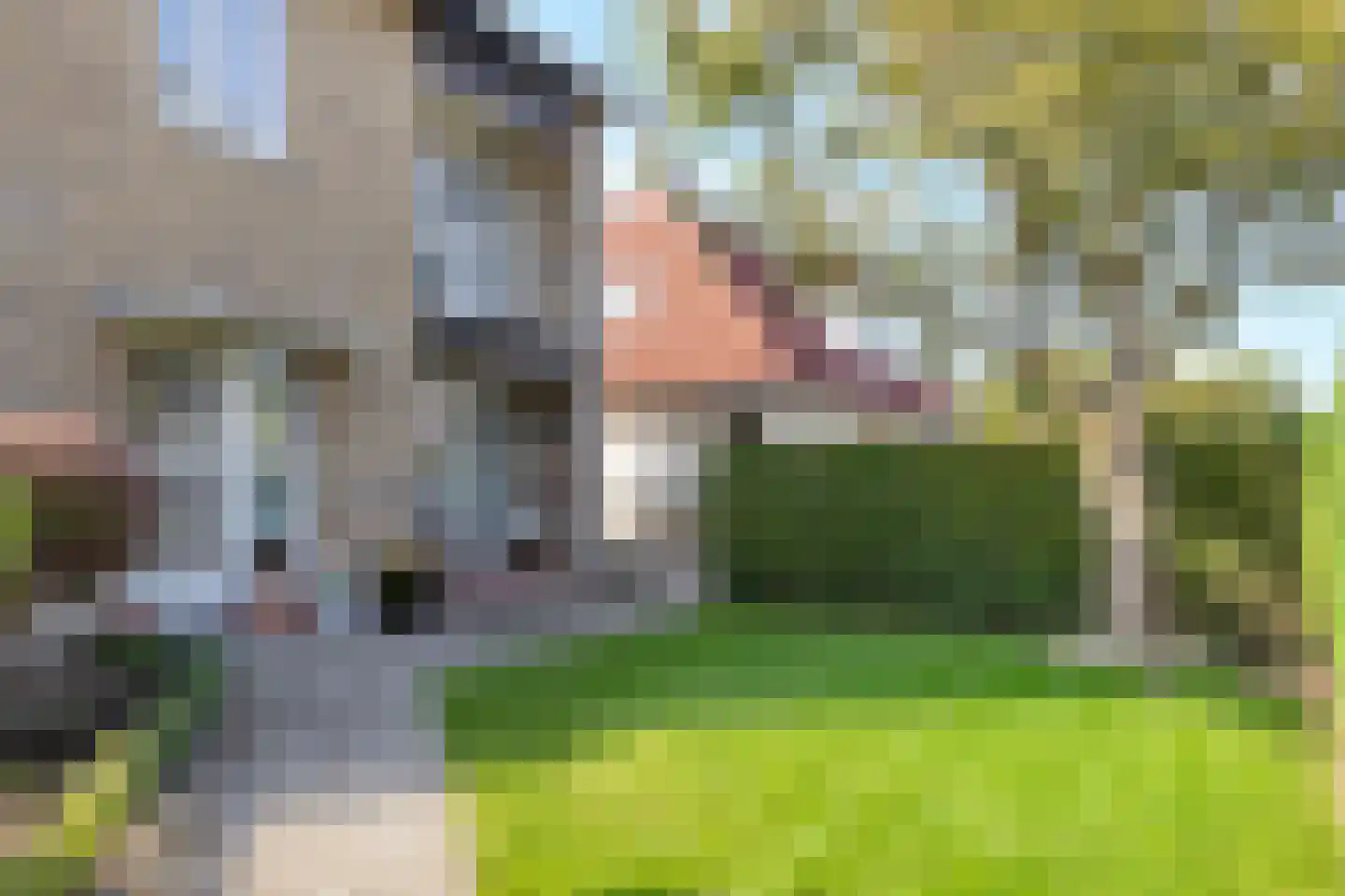 Baakhoverweg 21 Susteren thumbnail 4