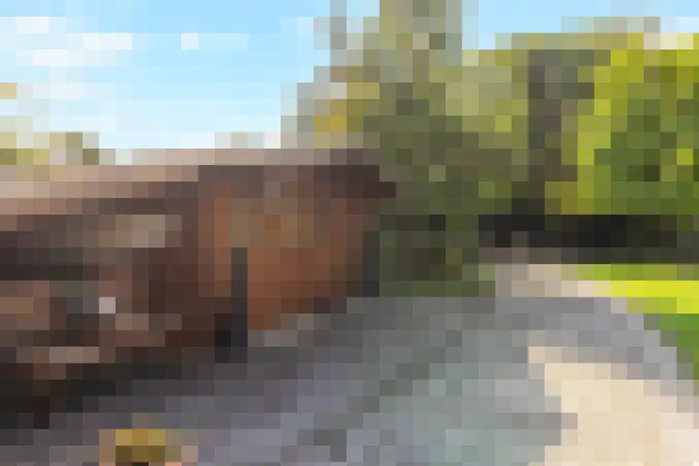 Baakhoverweg 21 Susteren thumbnail 46