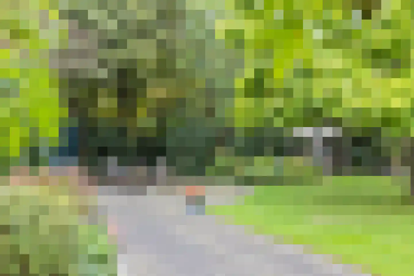 Baakhoverweg 21 Susteren thumbnail 49