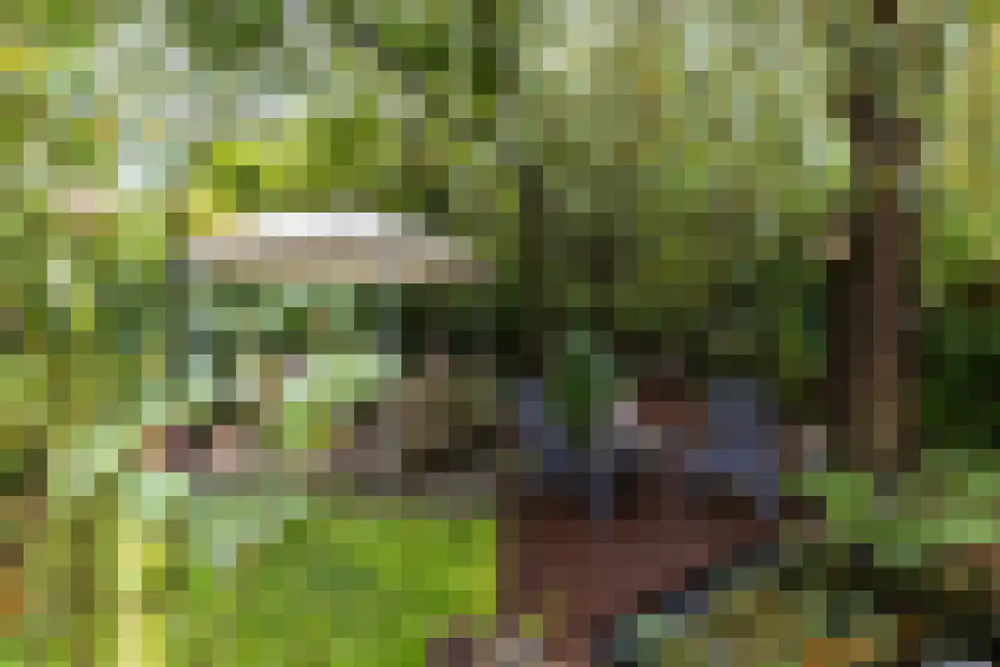 Baakhoverweg 21 Susteren thumbnail 50