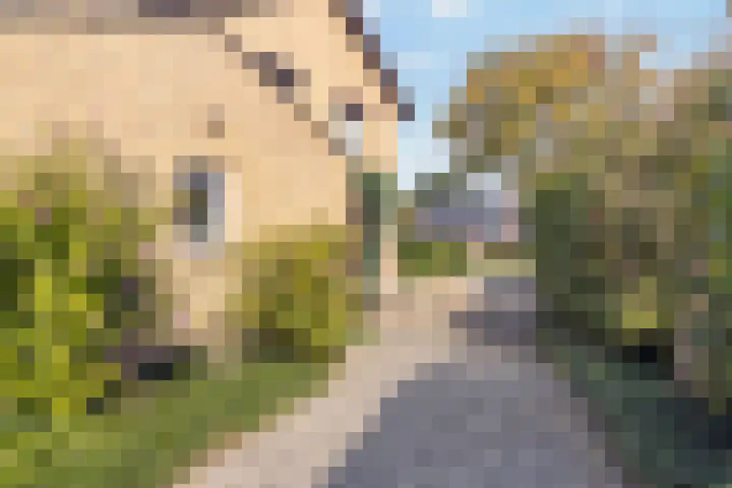 Baakhoverweg 21 Susteren thumbnail 56