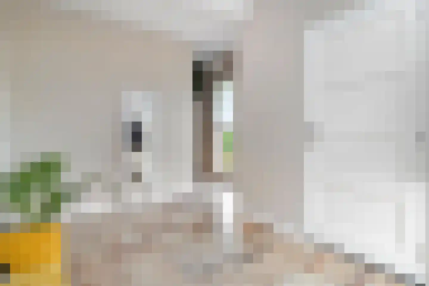 Baakhoverweg 21 Susteren thumbnail 8