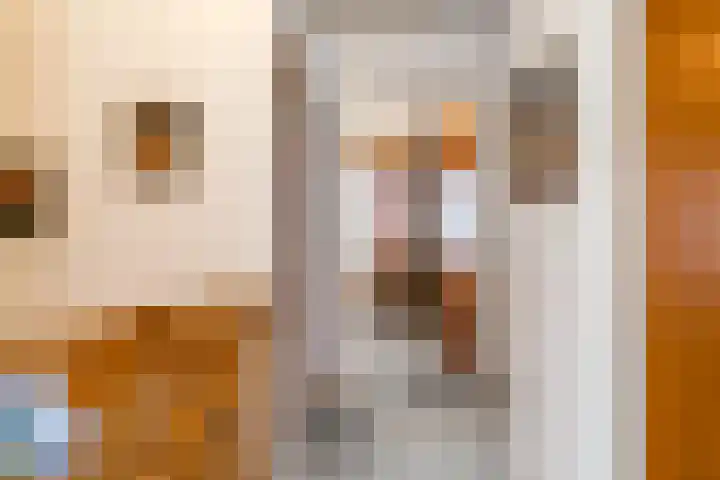 Baakhoverweg 4 Susteren thumbnail 16