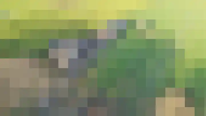 Baakhoverweg 4 Susteren thumbnail 28