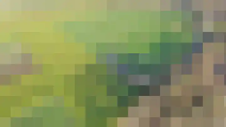 Baakhoverweg 4 Susteren thumbnail 31