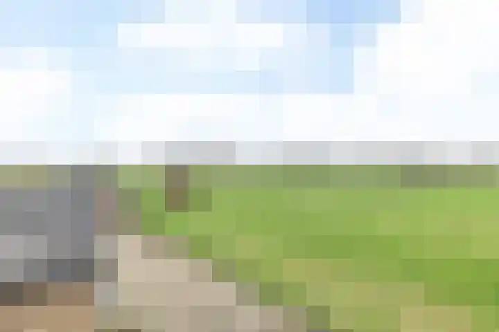 Baakhoverweg 4 Susteren thumbnail 32