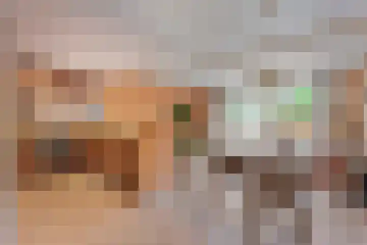Baaksebeek 13 Zwolle thumbnail 13