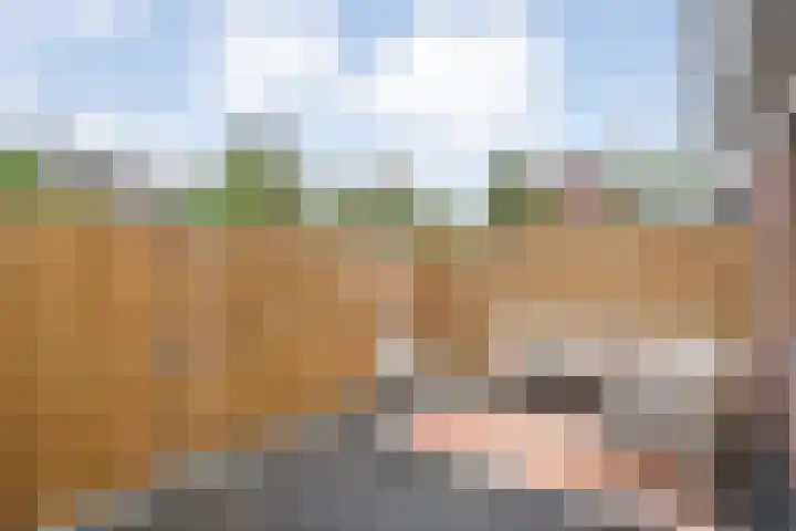 Baaksebeek 13 Zwolle thumbnail 21