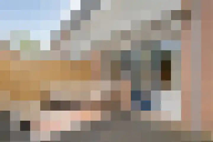 Baaksebeek 13 Zwolle thumbnail 22