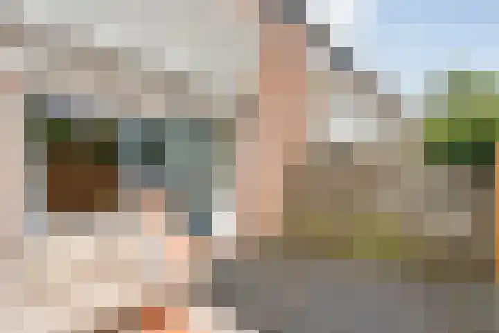 Baaksebeek 13 Zwolle thumbnail 23