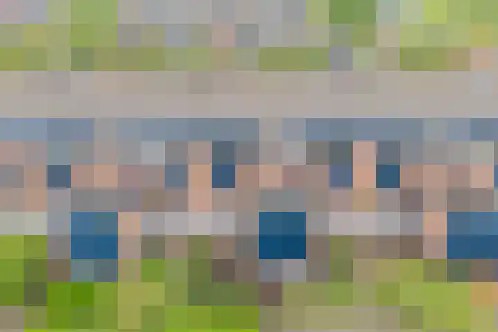Baaksebeek 13 Zwolle thumbnail 26