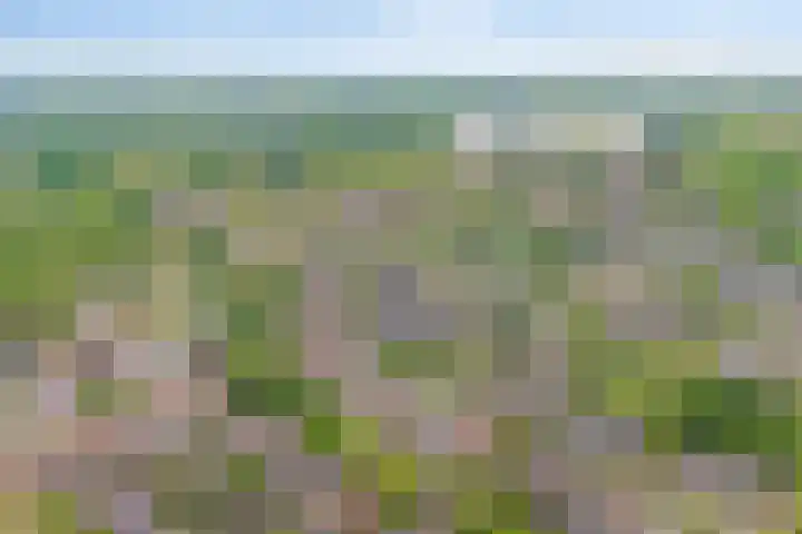 Baaksebeek 13 Zwolle thumbnail 27