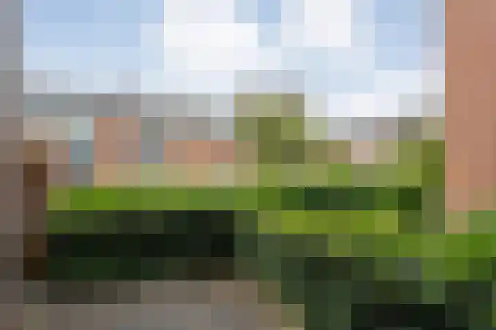 Baaksebeek 13 Zwolle thumbnail 4