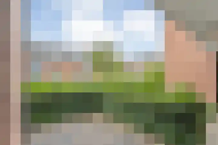 Baaksebeek 13 Zwolle thumbnail 6
