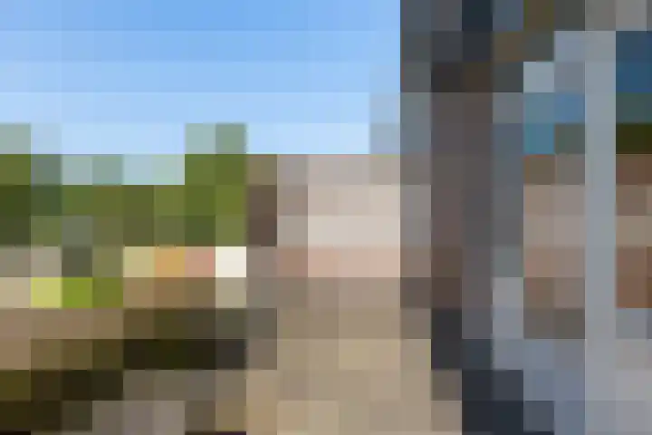 Baaksebeek 28 Zwolle thumbnail 17