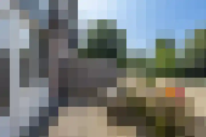 Baaksebeek 28 Zwolle thumbnail 18