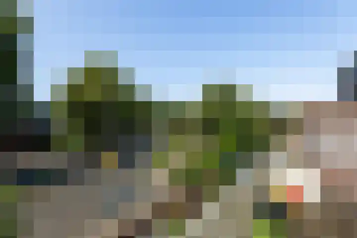 Baaksebeek 28 Zwolle thumbnail 19