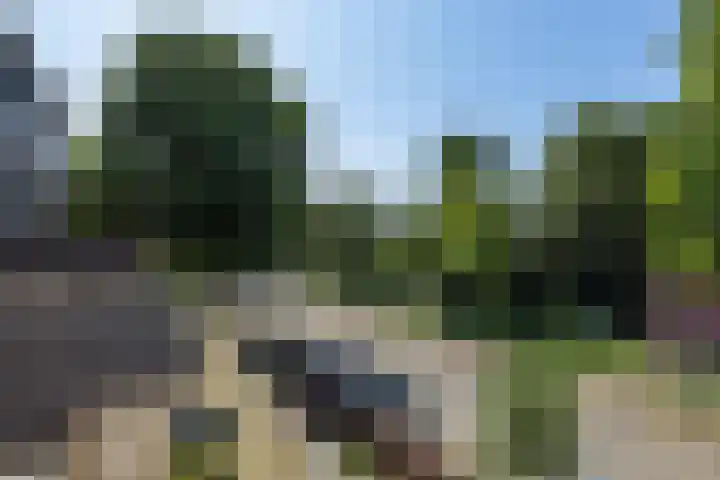 Baaksebeek 28 Zwolle thumbnail 20