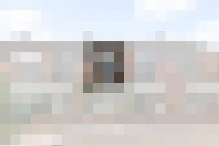 Baaksebeek 28 Zwolle thumbnail 29
