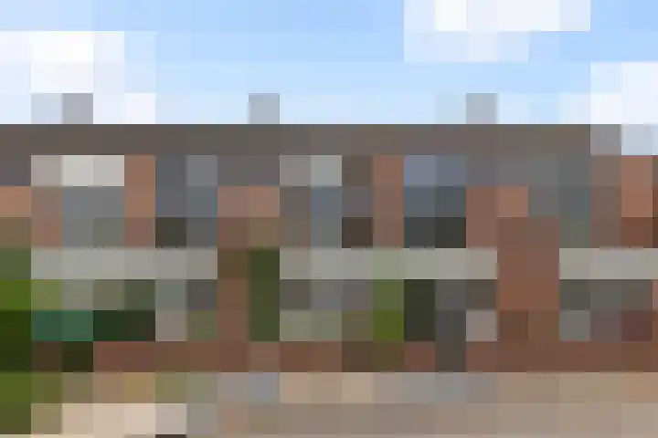 Baaksebeek 28 Zwolle thumbnail 30