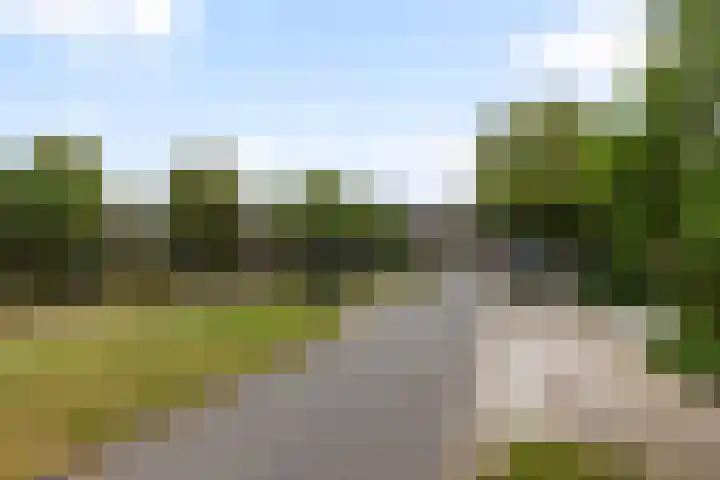 Baaksebeek 28 Zwolle thumbnail 31