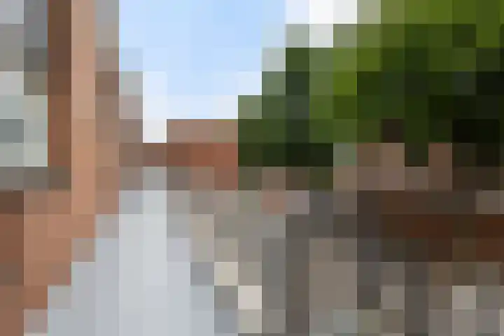 Baaksebeek 28 Zwolle thumbnail 5