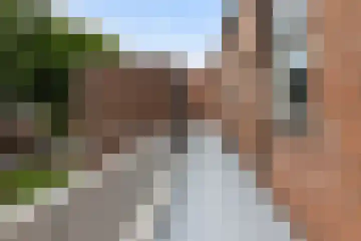 Baaksebeek 28 Zwolle thumbnail 7