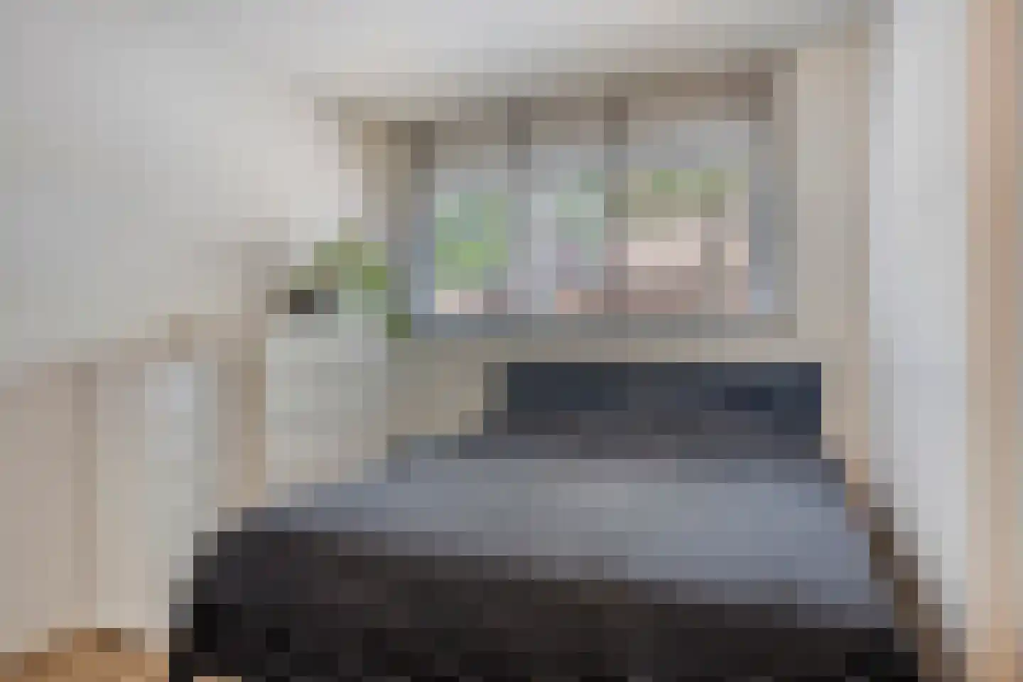 Baaksebeek 4 Zwolle thumbnail 13