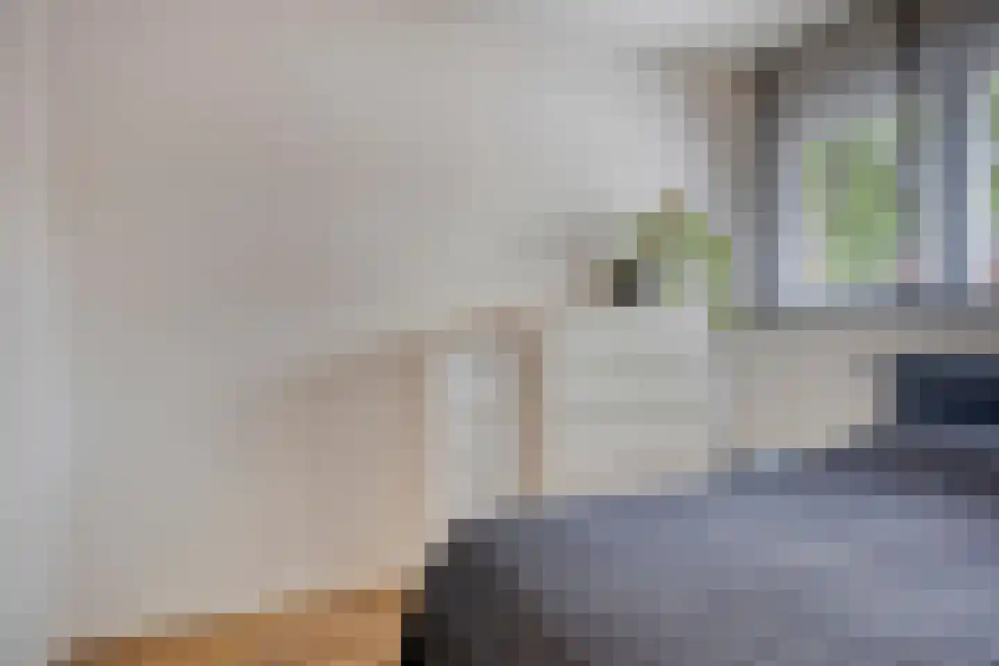 Baaksebeek 4 Zwolle thumbnail 14