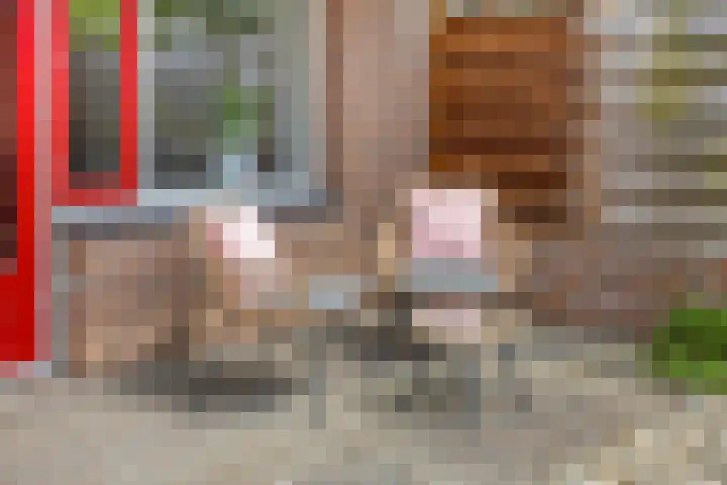 Baaksebeek 4 Zwolle thumbnail 20