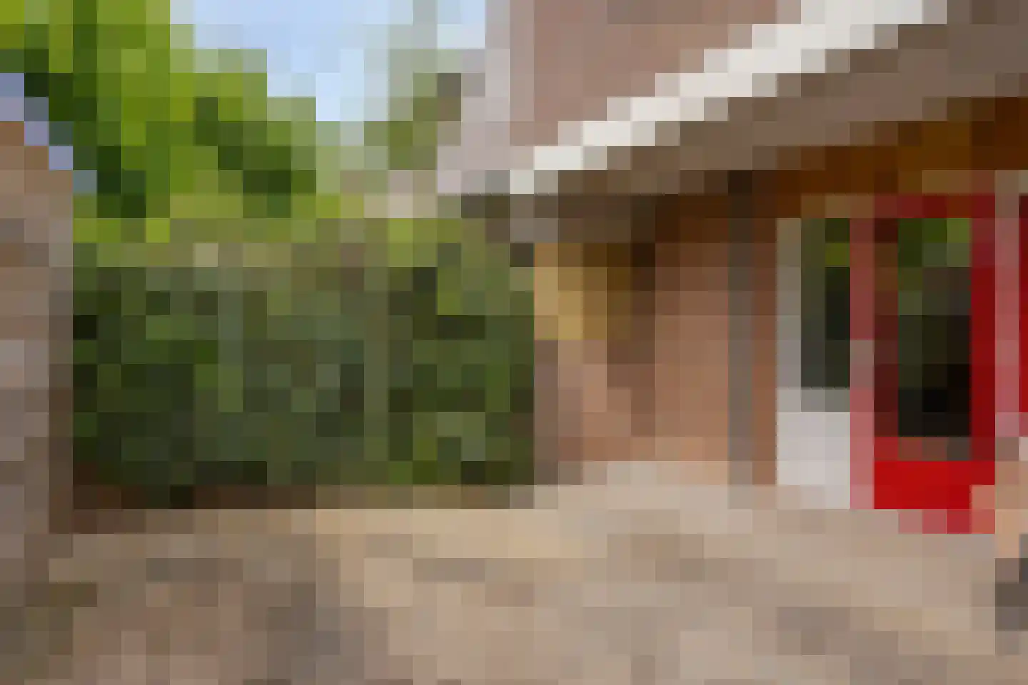 Baaksebeek 4 Zwolle thumbnail 21