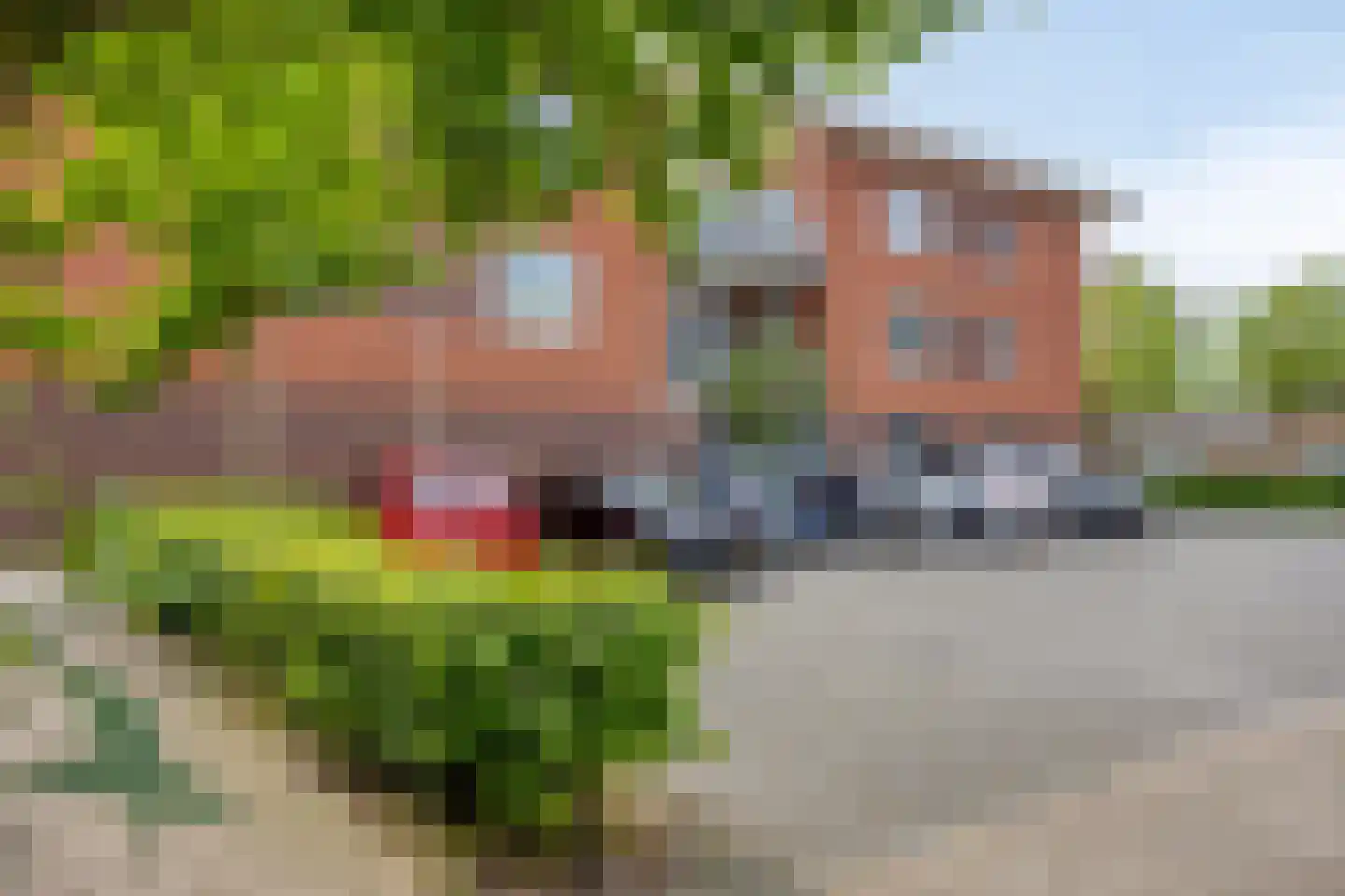 Baaksebeek 4 Zwolle thumbnail 25