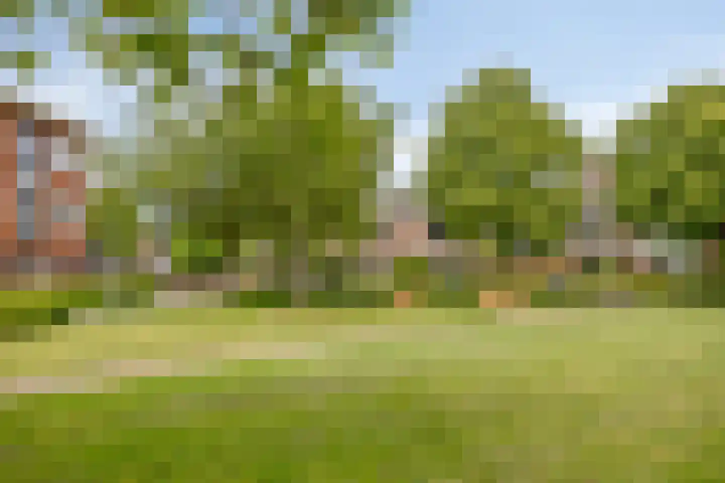 Baaksebeek 4 Zwolle thumbnail 27