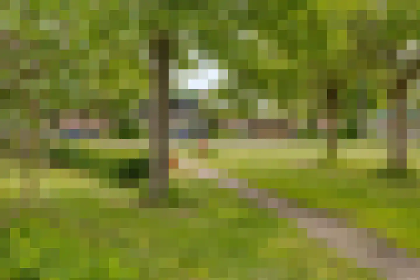 Baaksebeek 4 Zwolle thumbnail 28