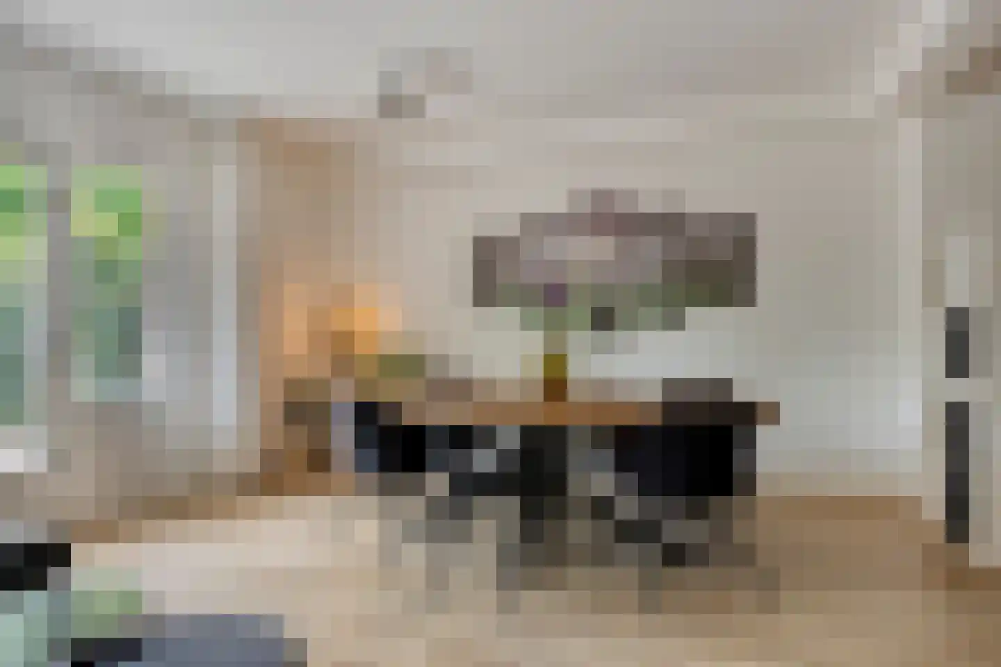 Baaksebeek 4 Zwolle thumbnail 4