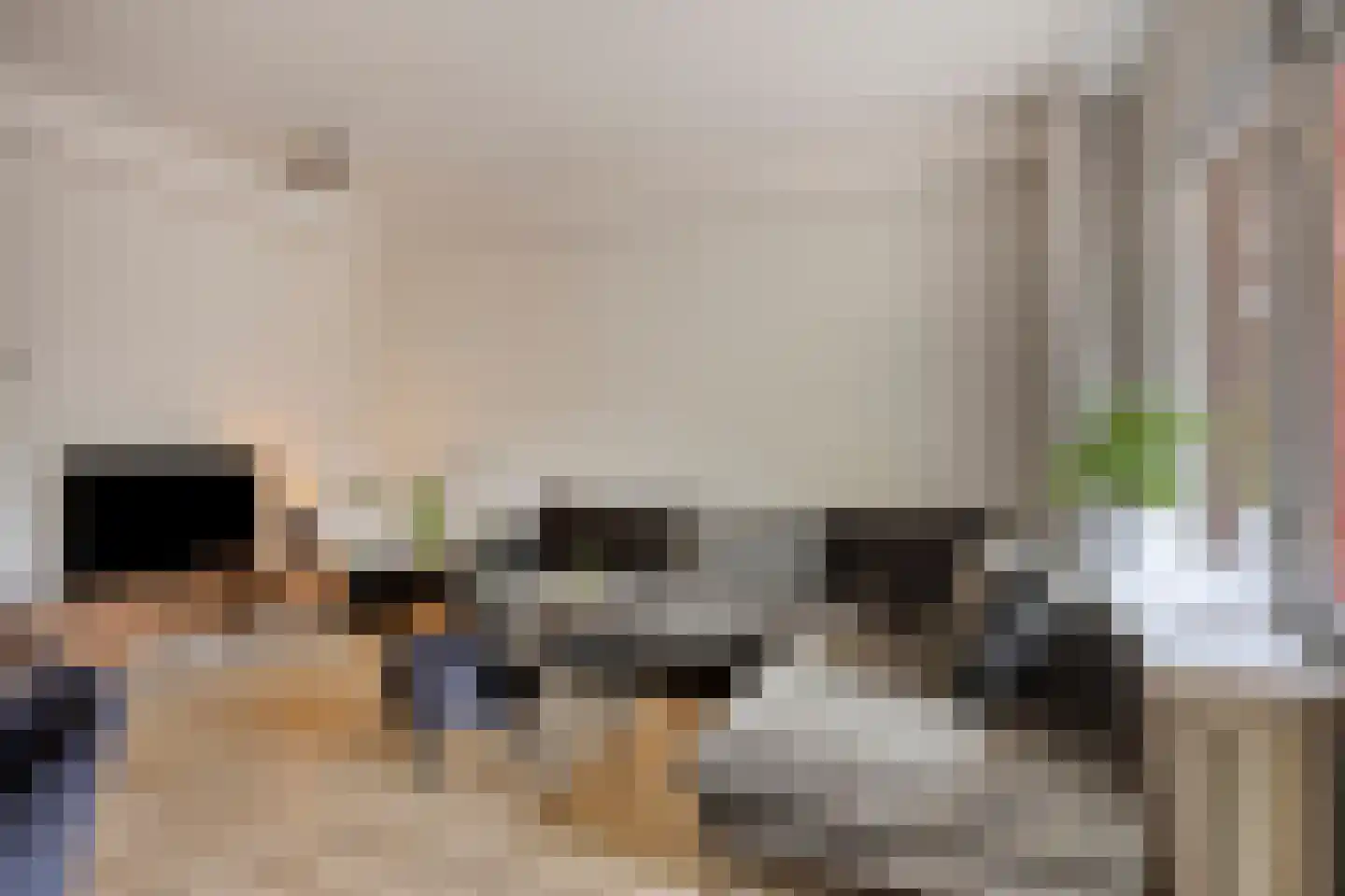 Baaksebeek 4 Zwolle thumbnail 5