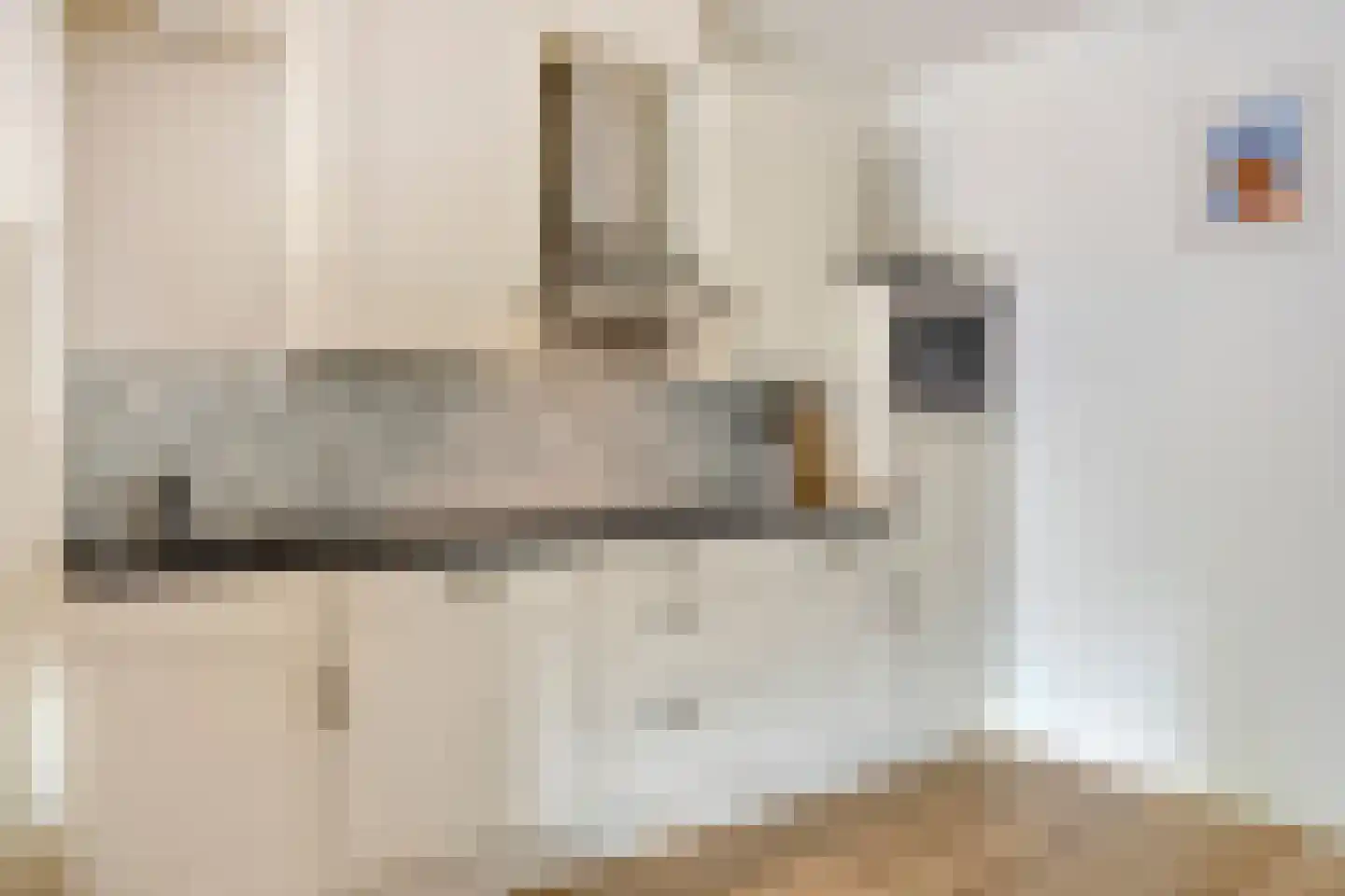 Baaksebeek 4 Zwolle thumbnail 7