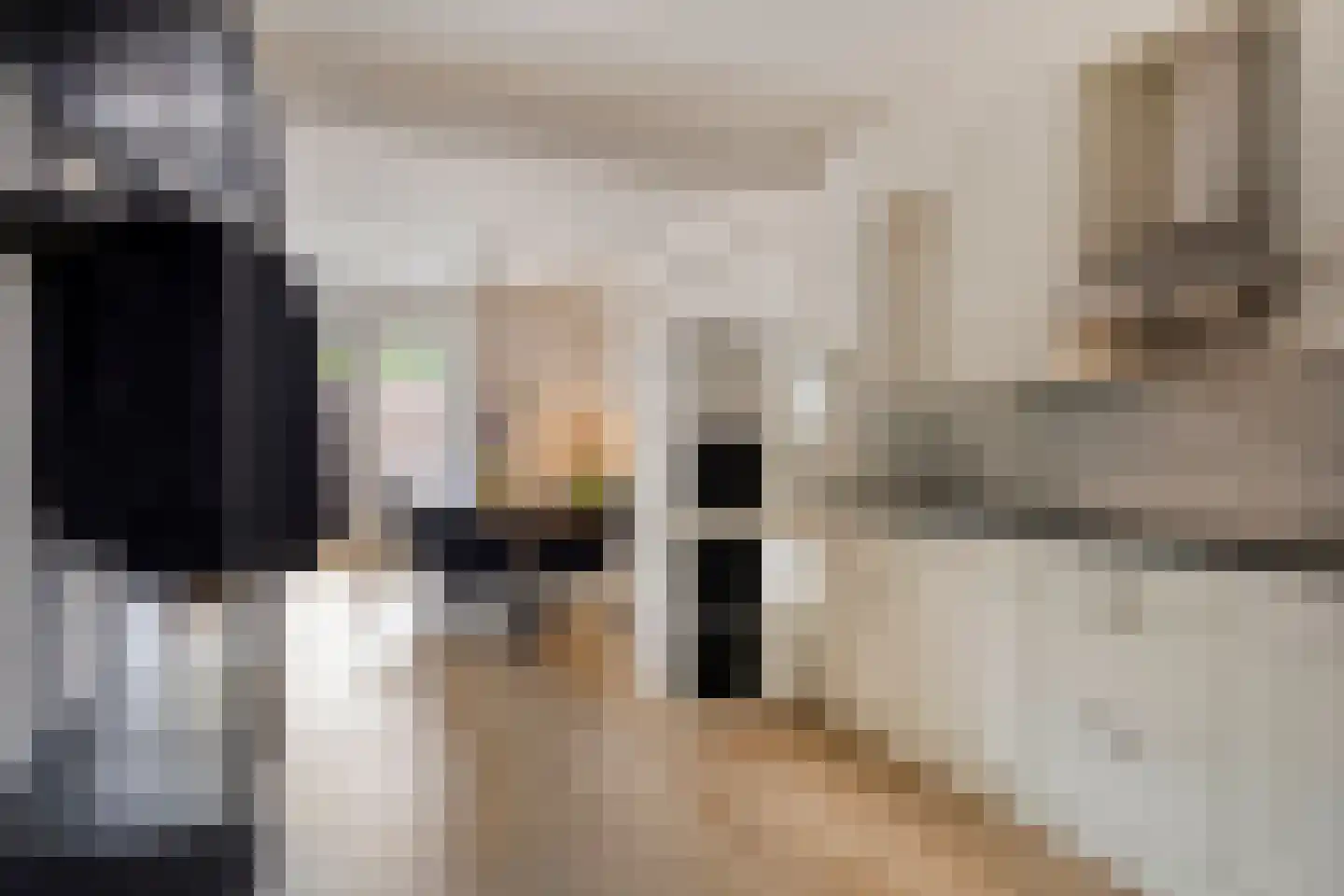 Baaksebeek 4 Zwolle thumbnail 8