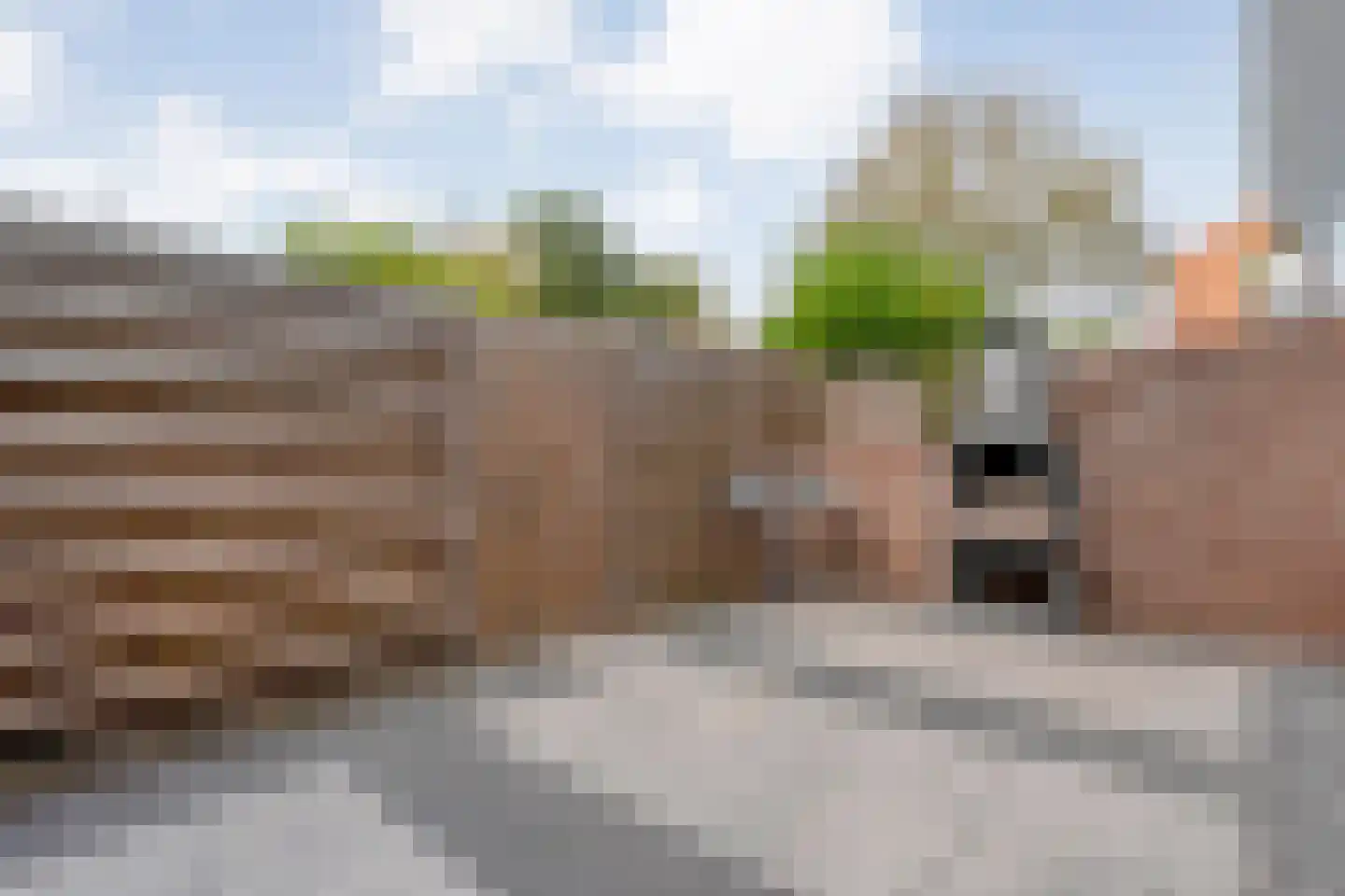 Baaksebeek 54 Zwolle thumbnail 23