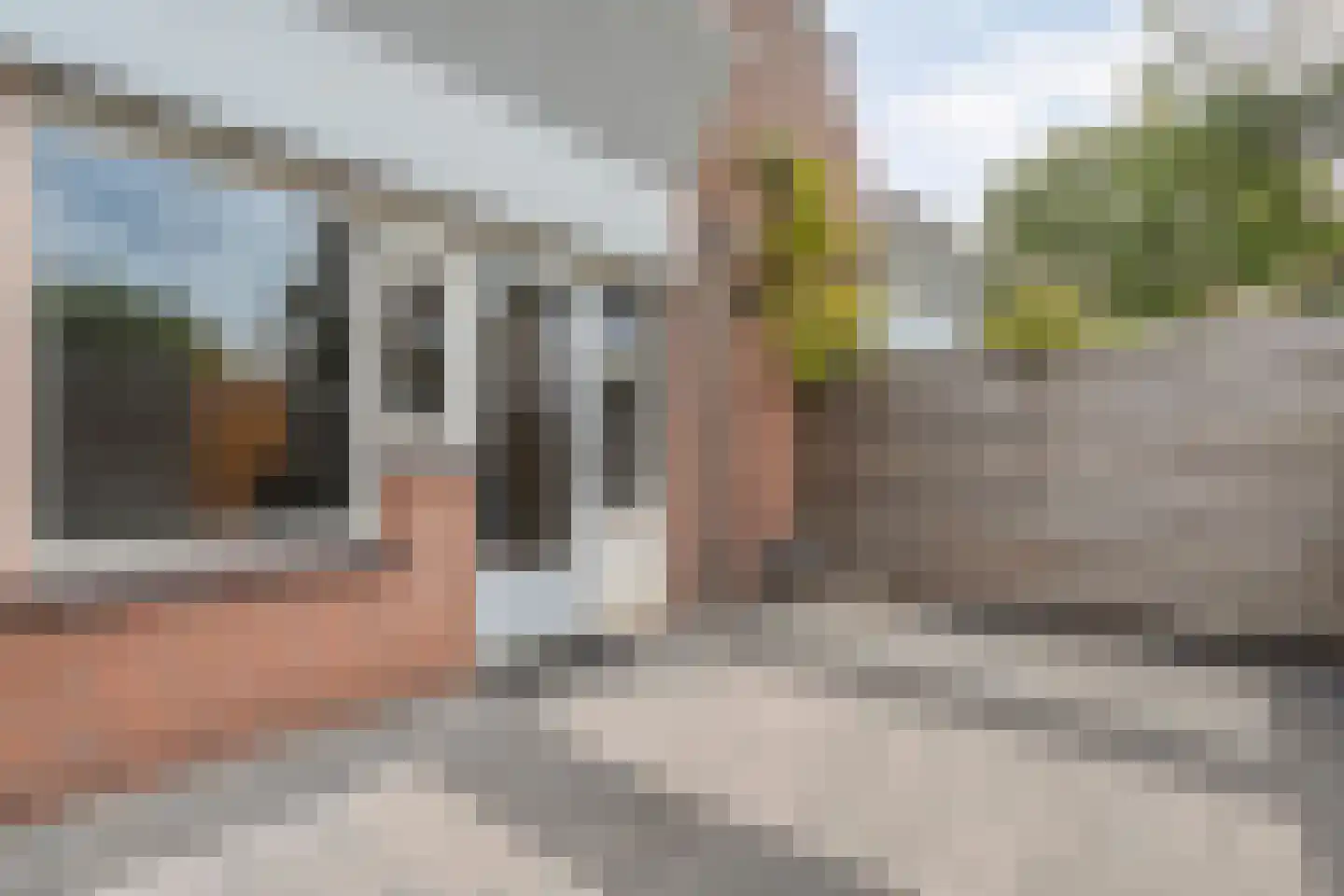 Baaksebeek 54 Zwolle thumbnail 24
