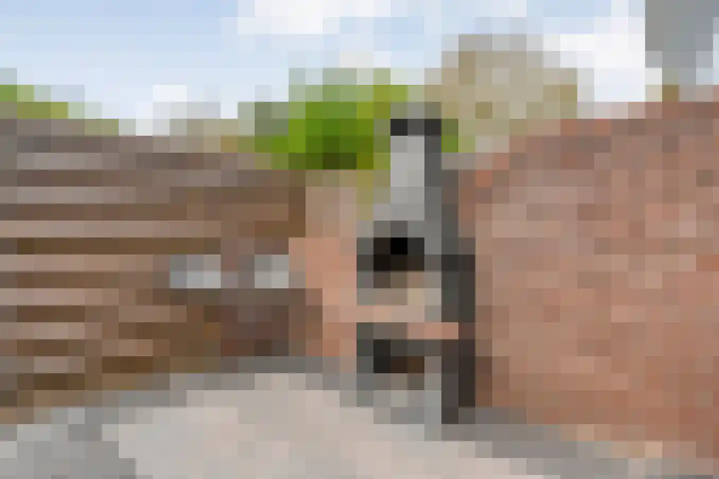 Baaksebeek 54 Zwolle thumbnail 25
