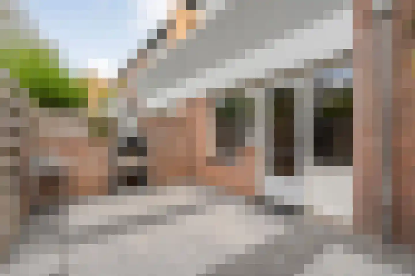Baaksebeek 54 Zwolle thumbnail 26