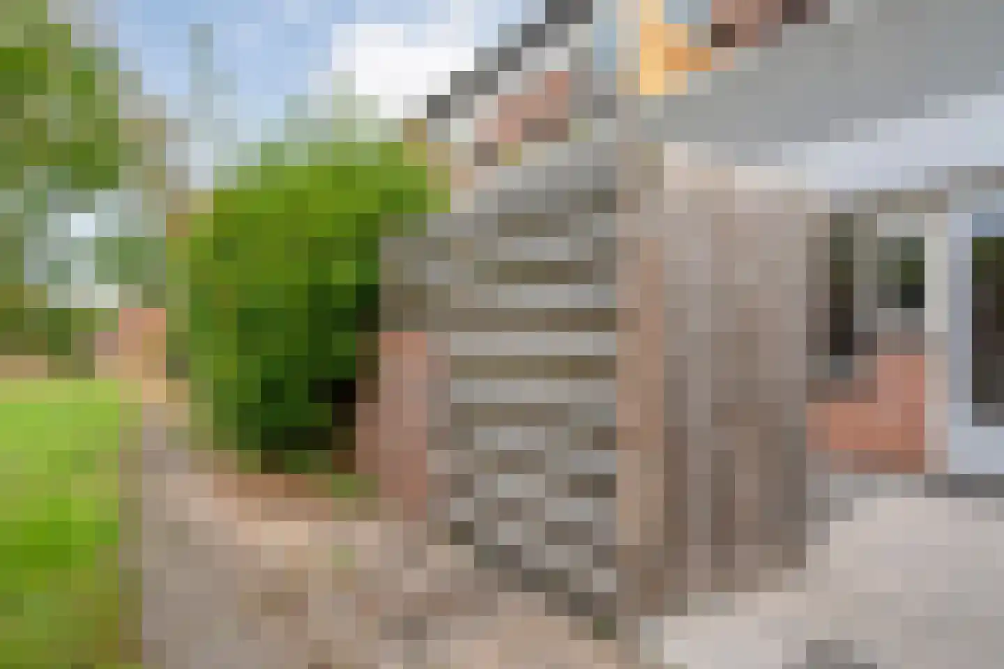 Baaksebeek 54 Zwolle thumbnail 27