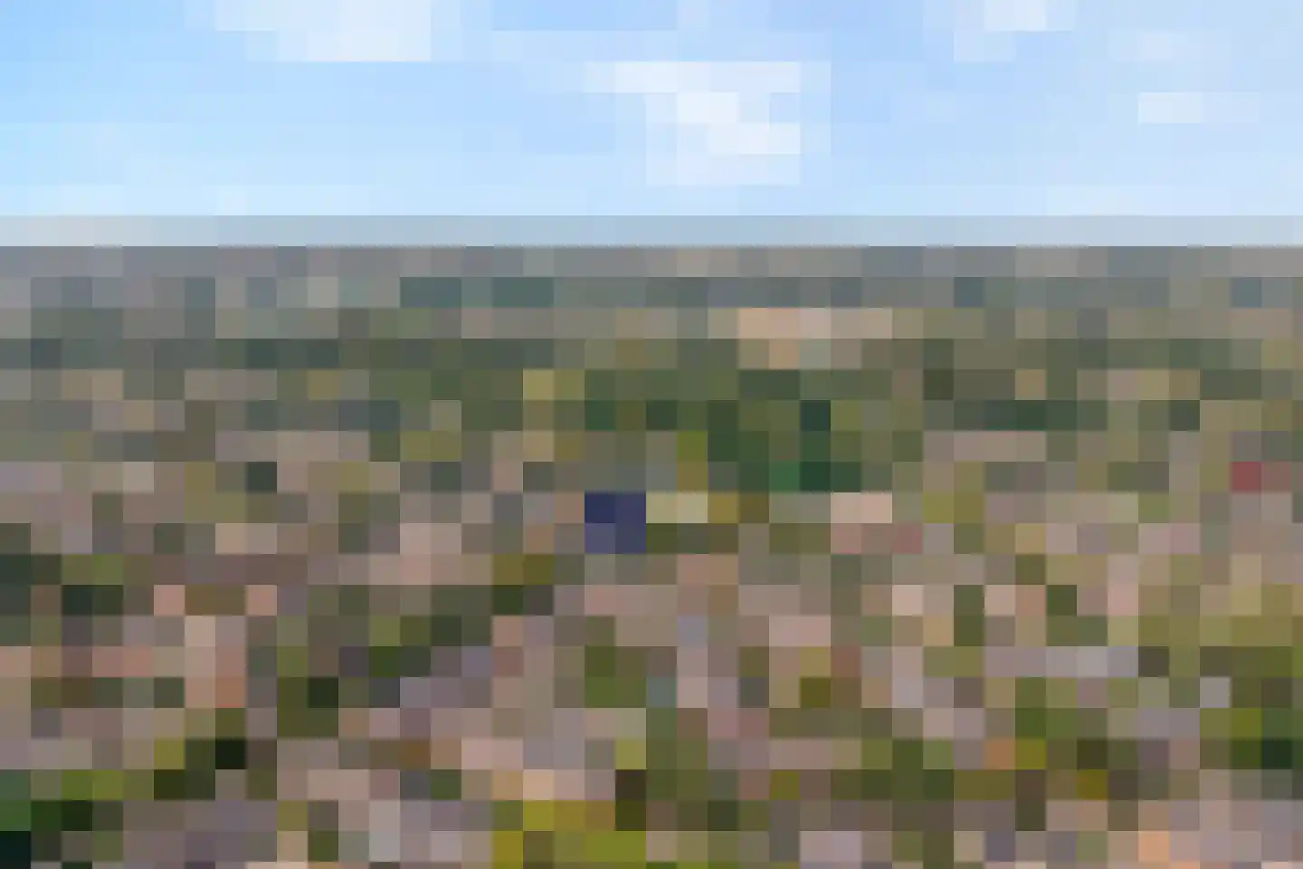 Baaksebeek 54 Zwolle thumbnail 38