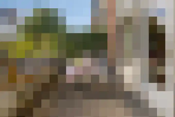 Baaksebeek 56 Zwolle thumbnail 14