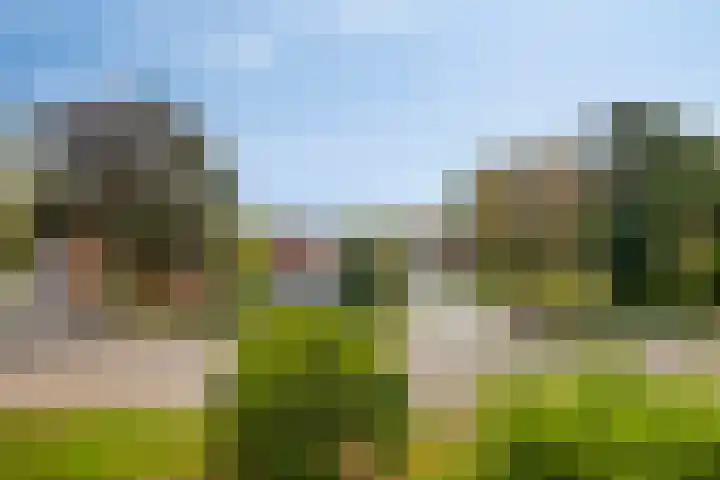 Baaksebeek 56 Zwolle thumbnail 16