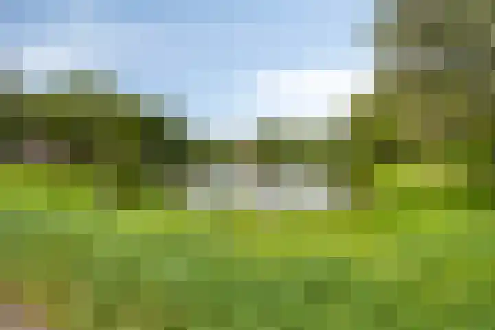 Baaksebeek 56 Zwolle thumbnail 26