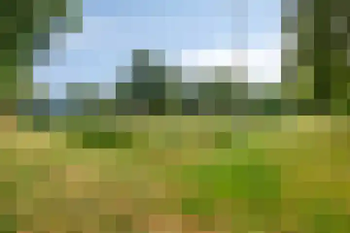 Baaksebeek 56 Zwolle thumbnail 27