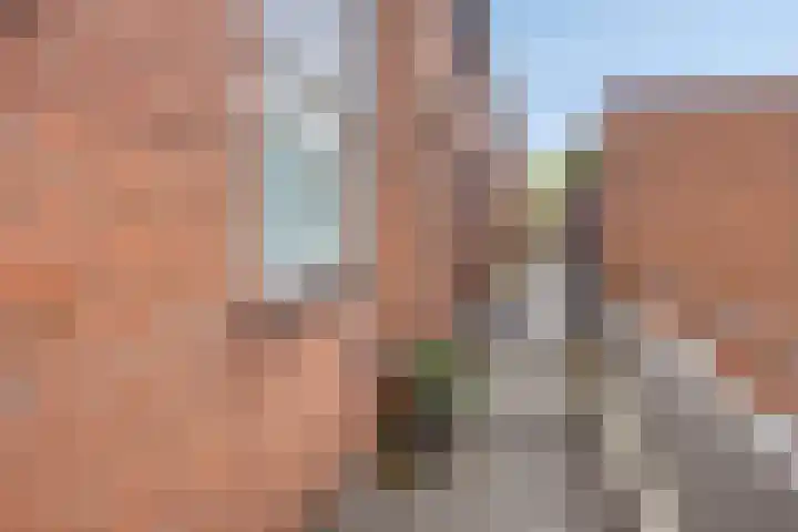 Baaksebeek 56 Zwolle thumbnail 4