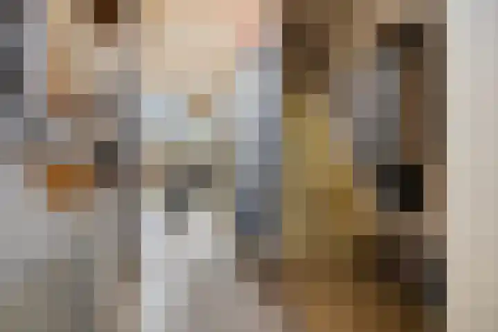 Baaksebeek 56 Zwolle thumbnail 5